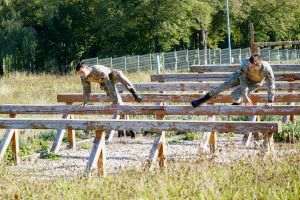 Photo source: facebook / Ministerul Apararii Nationale